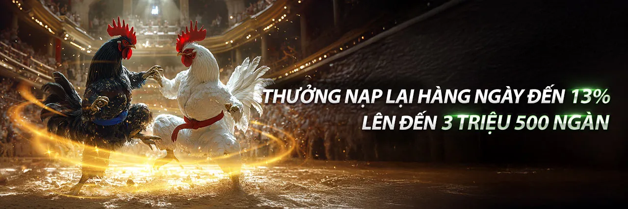 Sân vận động thể thao sôi động của 78bet win